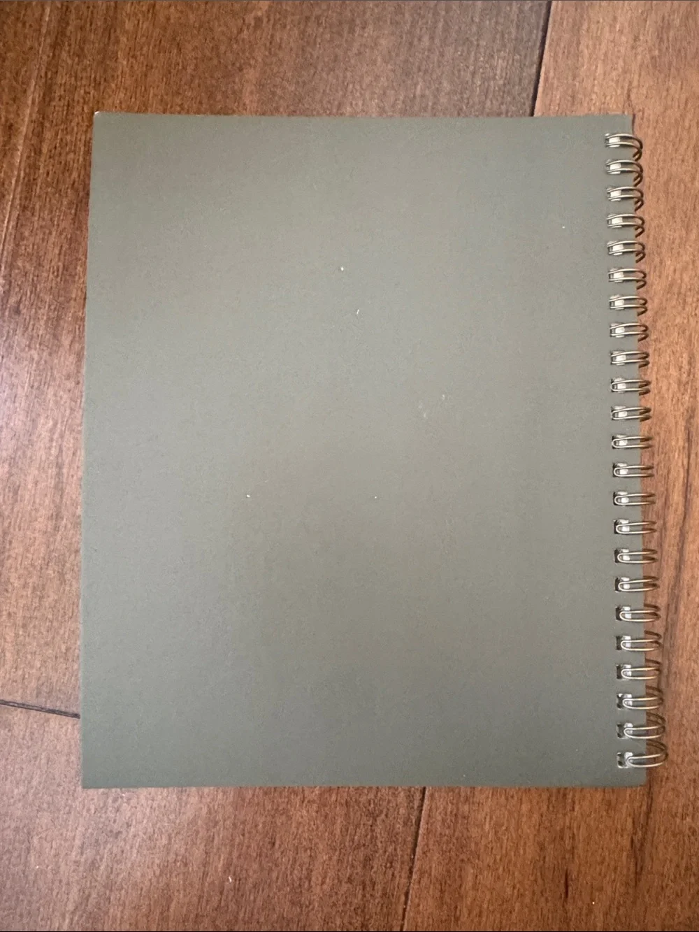 Taylor Swift Evermore Anniversary Spiral Notebook